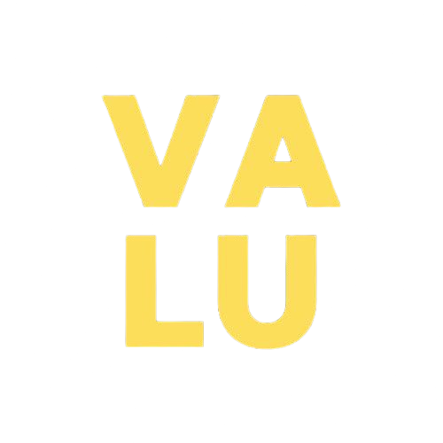 ValuSport Logo